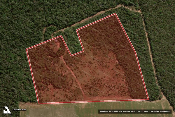 Imagem de satélite de Desmatamento em Tapurah - MT