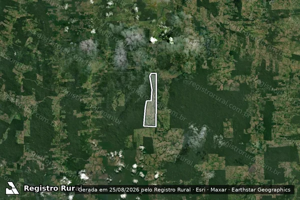 Imagem de satélite de Infração Ambiental em Pacajá - PA