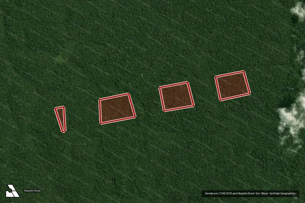 Imagem de satélite de Infração da Flora em Portel - PA