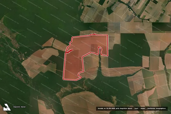 Imagem de satélite de Infração da Flora em Querência - MT (marcador da localização)