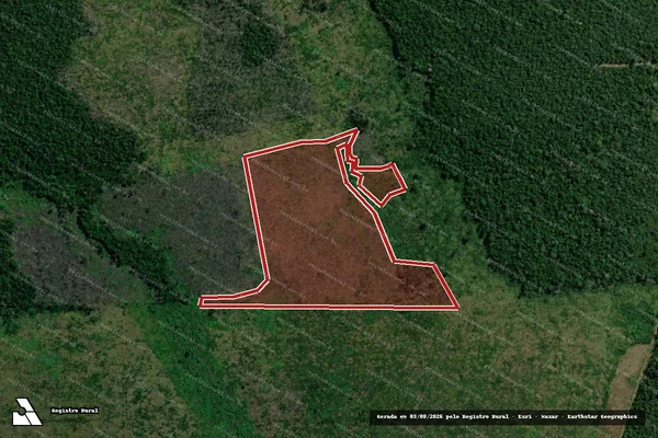 Imagem de satélite de Infração Ambiental em Humaitá - AM