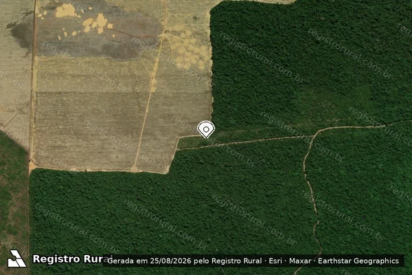 Imagem de satélite de Infração Ambiental em Paragominas - PA (marcador da localização)