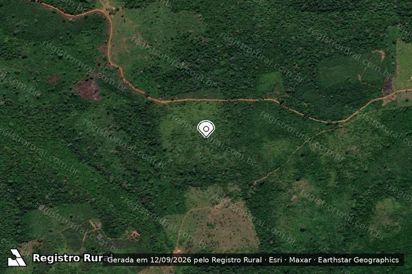Imagem de satélite de Infração Ambiental em Trairão - PA (marcador da localização)