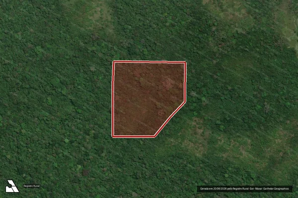 Imagem de satélite de Infração Ambiental em Oriximiná - PA
