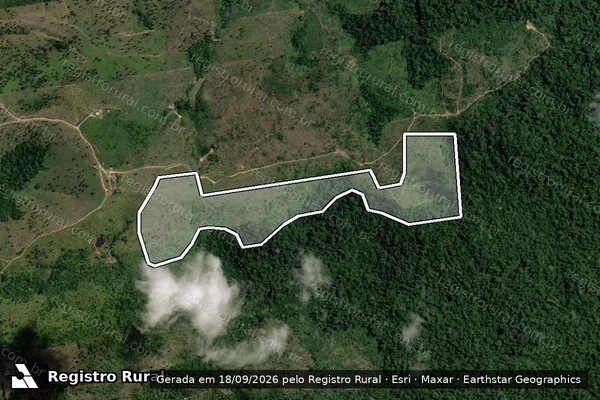 Imagem de satélite — Embargo IBAMA — Infração Ambiental - Itaituba/PA