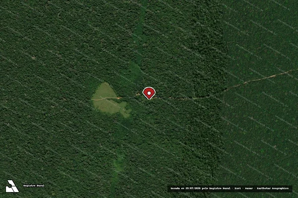 Imagem de satélite de Infração Ambiental em Canutama - AM (marcador da localização)