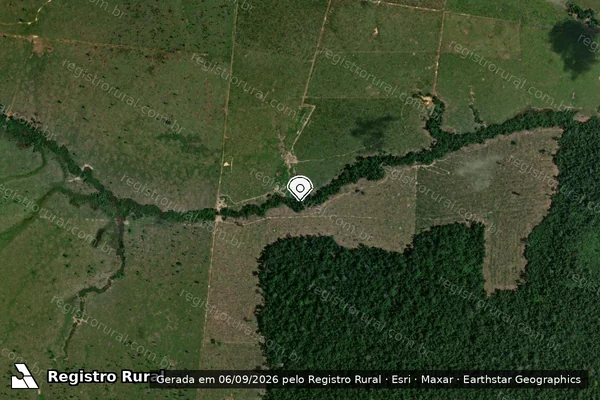 Imagem de satélite de Infração da Flora em Porto Velho - RO (marcador da localização)
