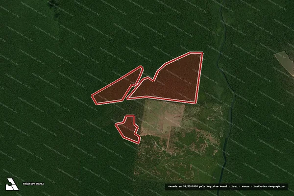 Imagem de satélite de Infração da Flora em Brasnorte - MT