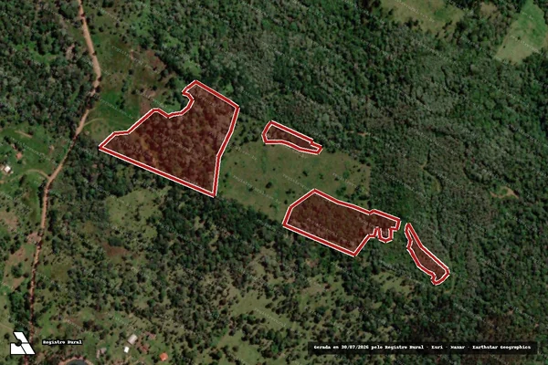 Imagem de satélite de Infração da Flora em Coronel Domingos Soares - PR