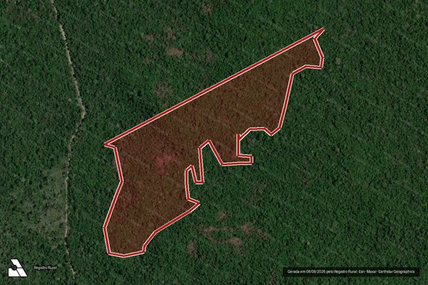 Imagem de satélite de Infração da Flora em Altamira - PA