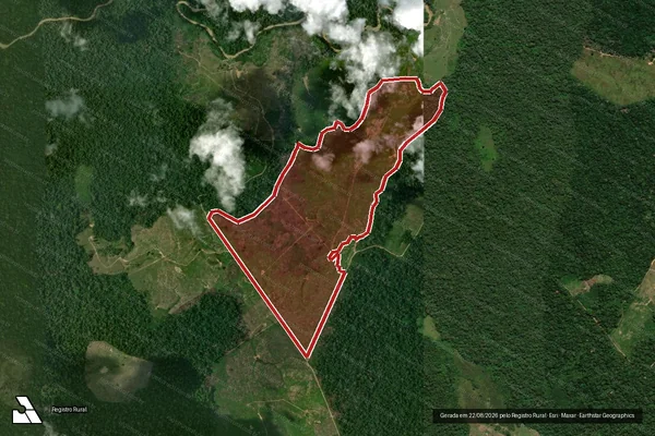 Imagem de satélite — Embargo IBAMA — Infração da Flora - Boca do Acre/AM