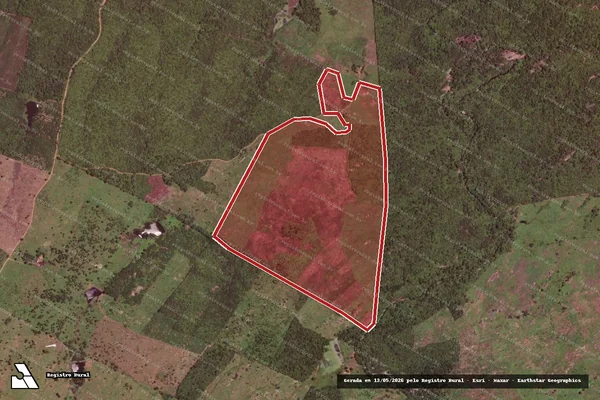 Imagem de satélite — Embargo IBAMA — Infração da Flora — Potengi/CE