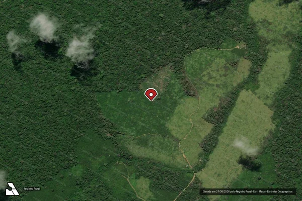 Imagem de satélite de Infração da Flora em Portel - PA (marcador da localização)