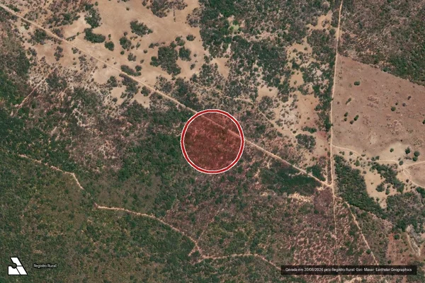 Imagem de satélite — Embargo Ambiental - Riacho de Santana/BA