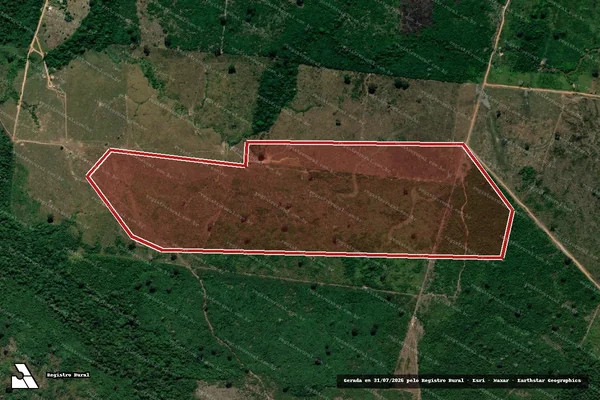 Imagem de satélite de Infração da Flora em Humaitá - AM