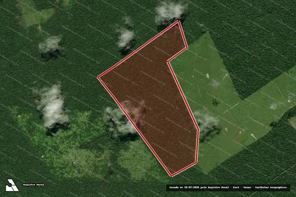 Imagem de satélite de Infração Ambiental em Anapu - PA