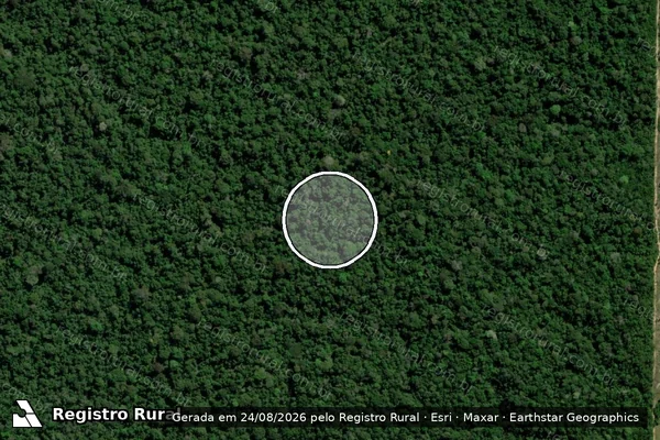 Imagem de satélite de Desmatamento em Rondolândia - MT