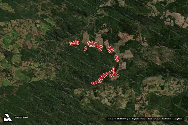 Imagem de satélite — Embargo IBAMA — Infração da Flora - Palmas/PR