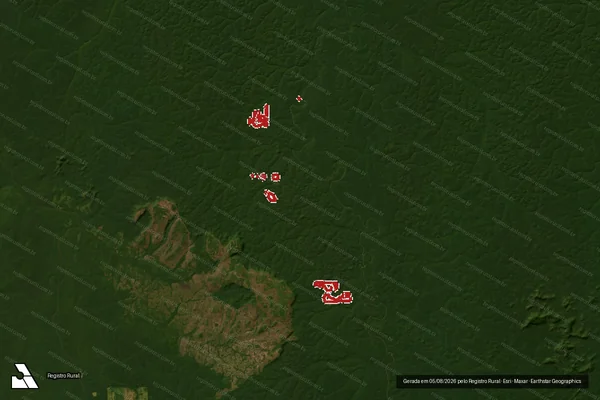Imagem de satélite de Infração Ambiental em Novo Aripuanã - AM