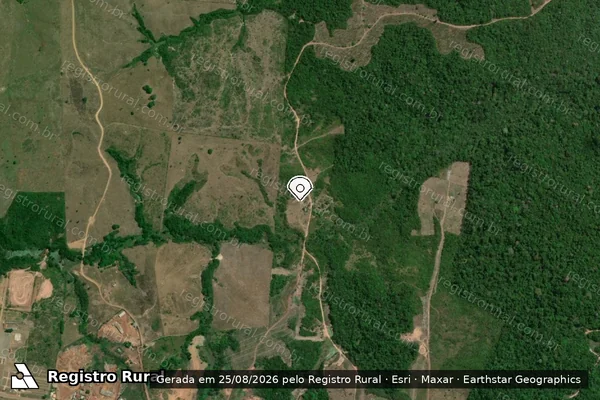 Imagem de satélite de Infração Ambiental em Tomé-Açu - PA (marcador da localização)