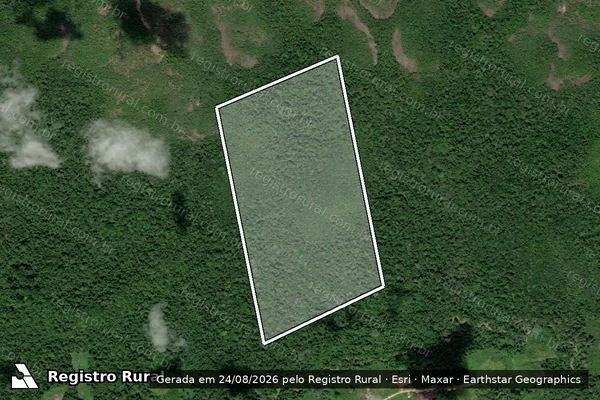 Imagem de satélite de Infração Ambiental em Caracaraí - RR