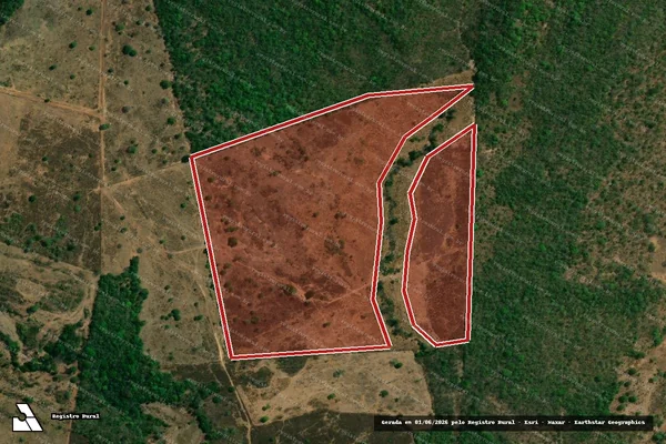 Imagem de satélite — Embargo IBAMA — Infração da Flora — Figueirópolis/TO