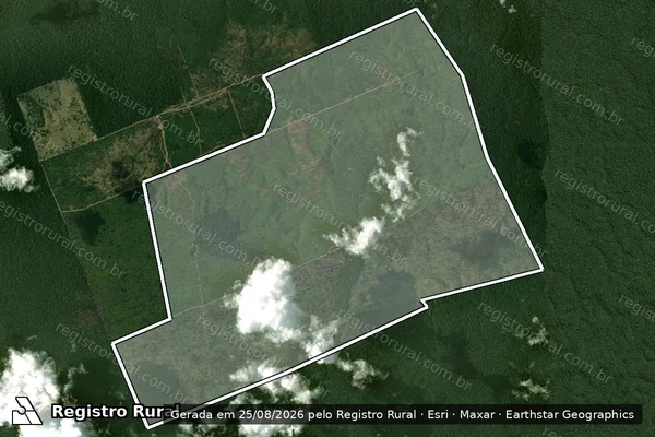 Imagem de satélite de Infração da Flora em Apuí - AM