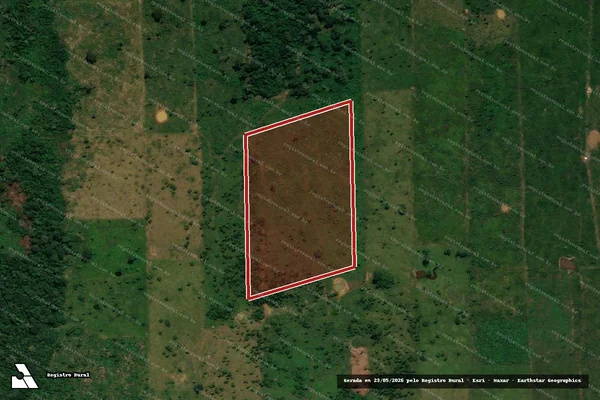 Imagem de satélite de Infração da Flora em Porto Velho - RO