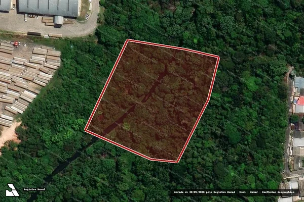 Imagem de satélite de Infração da Flora em Manaus - AM