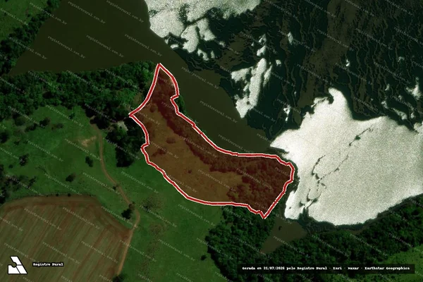 Imagem de satélite de Infração Ambiental em Nova Prata do Iguaçu - PR