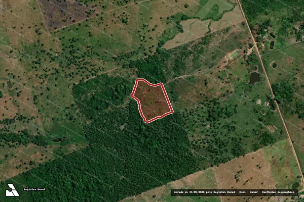 Imagem de satélite — Embargo IBAMA — Infração da Flora — São João Do Araguaia/PA