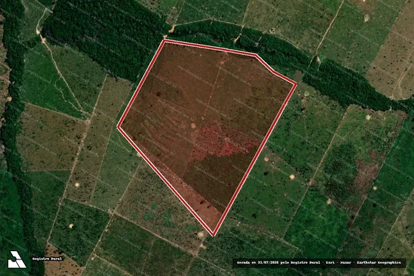 Imagem de satélite de Infração da Flora em Porto Velho - RO