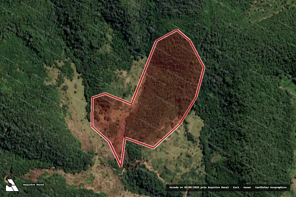 Imagem de satélite de Infração da Flora em Ladainha - MG