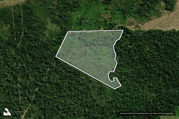 Imagem de satélite de Infração da Flora em Boca do Acre - AM