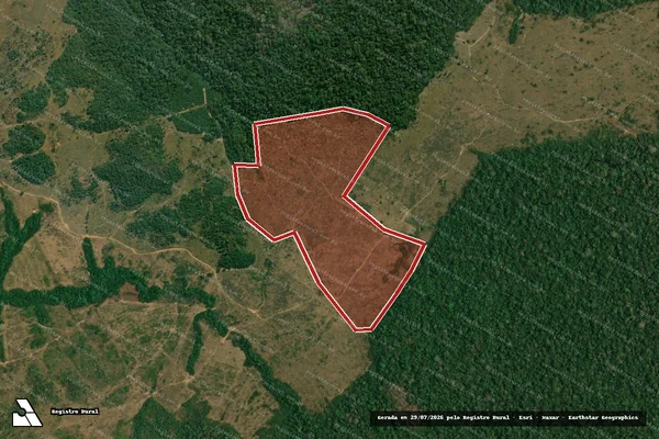 Imagem de satélite de Infração da Flora em Manicoré - AM