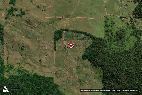 Imagem de satélite — Embargo IBAMA — Infração Ambiental - Cacaulândia/RO