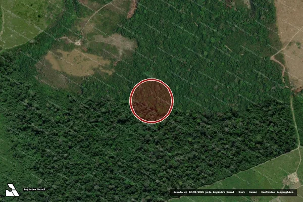 Imagem de satélite de Infração Ambiental em Santarém - PA