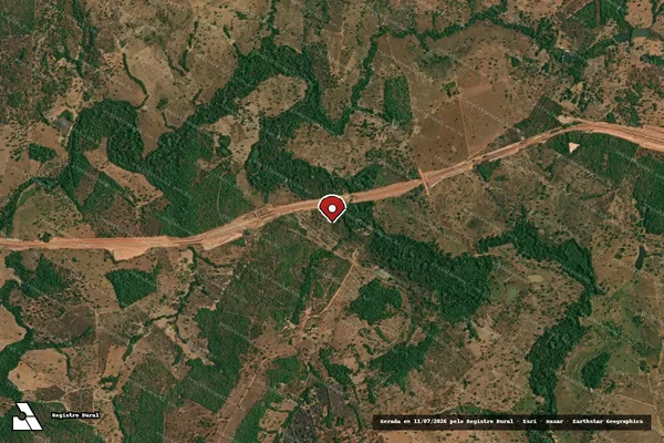 Imagem de satélite de Infração Ambiental em Santa Terezinha de Goiás - GO (marcador da localização)