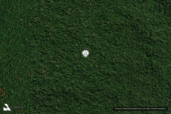 Imagem de satélite de Infração da Flora em Aripuanã - MT (marcador da localização)