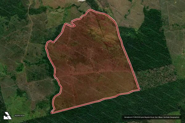 Imagem de satélite de Infração da Flora em São Félix do Xingu - PA