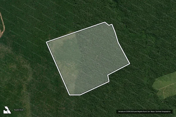 Imagem de satélite de Infração da Flora em Uruará - PA