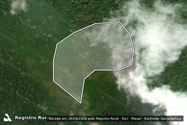 Imagem de satélite de Desmatamento em Boca do Acre - AM