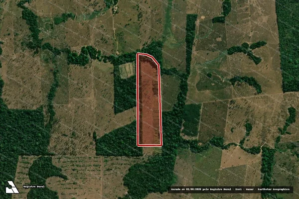 Imagem de satélite de Infração da Flora em Colniza - MT