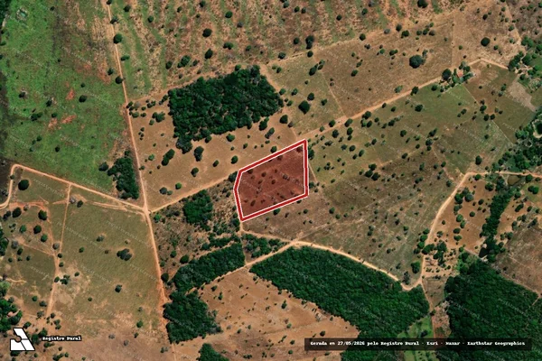 Imagem de satélite de Infração da Flora em Crixás - GO