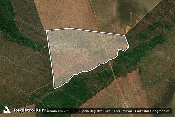 Imagem de satélite de Infração da Flora em Carolina - MA
