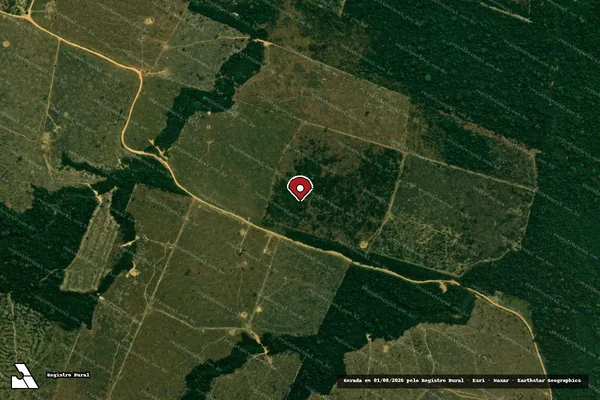 Imagem de satélite de Infração Ambiental em Porto Velho - RO (marcador da localização)