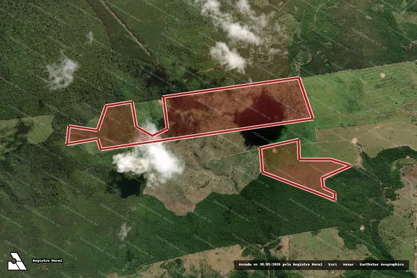 Imagem de satélite — Embargo IBAMA — Infração da Flora - Açailândia/MA