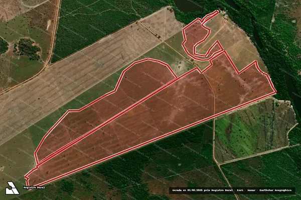 Imagem de satélite — Embargo IBAMA — Infração da Flora - Lagoa da Confusão/TO