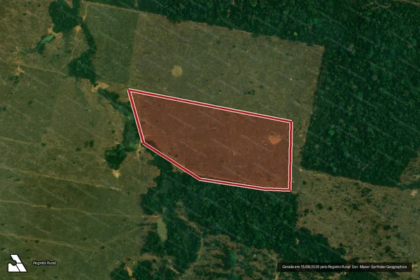 Imagem de satélite de Infração da Flora em Porto Velho - RO