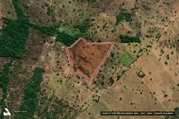 Imagem de satélite — Embargo IBAMA — Infração da Flora - Crixás/GO